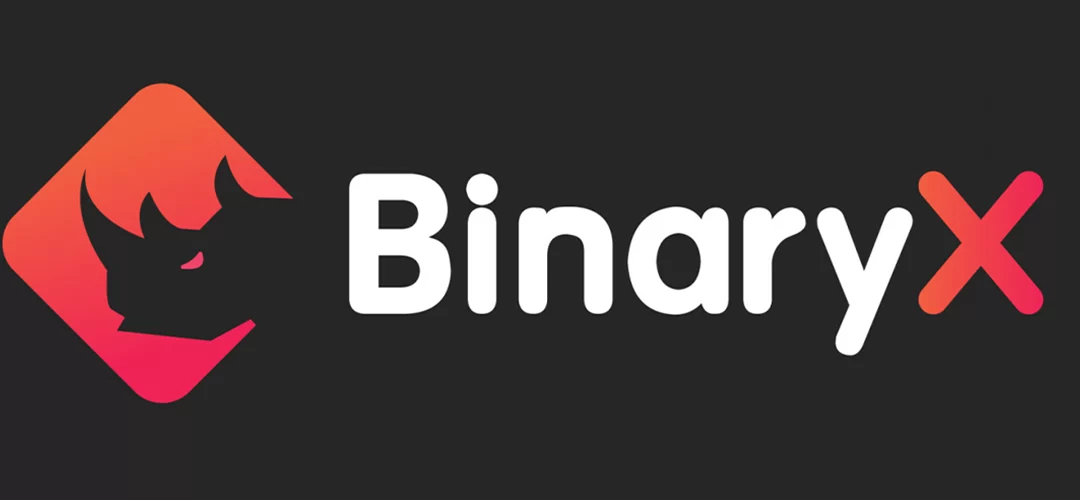 BinaryX Price